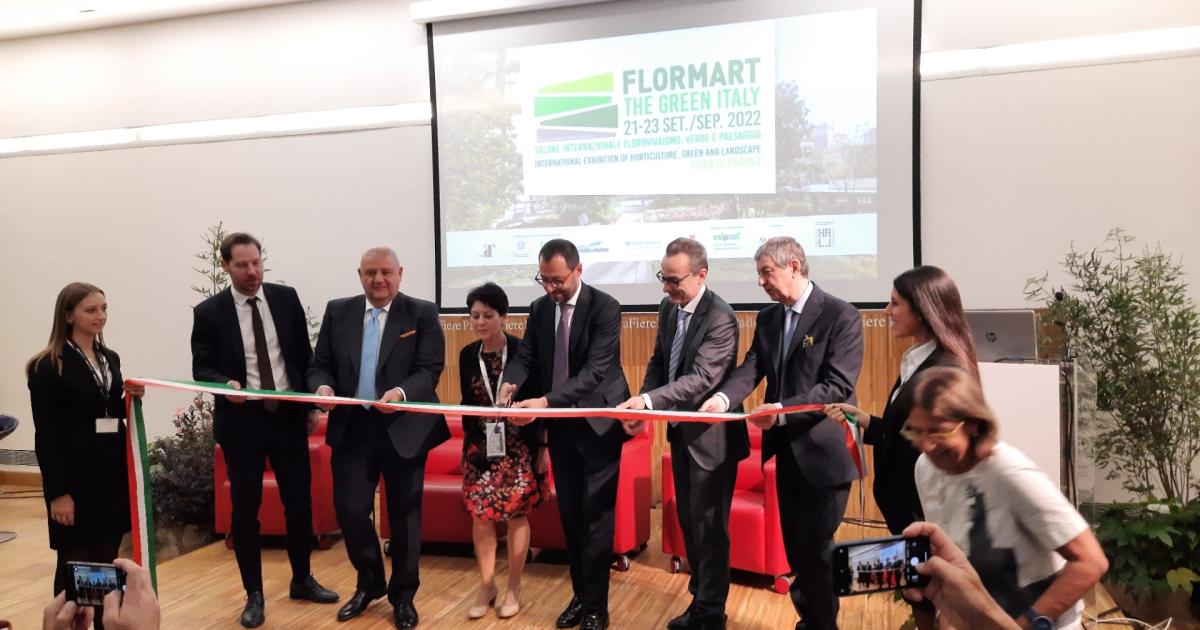 Le Nuove Felpa Allenamento Cappuccio Bayern Monaco Nero/viola/Verde - Foto 2