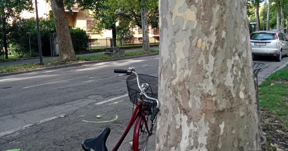 https://www.gazzettadiparma.it/resizer/1200/630/true/2025_09_03/11-1756885006688.jpg--incidente_in_centro_a_fidenza__coinvolti_un_auto_e_un_bus__un_ferito_grave.jpg?1756885008570