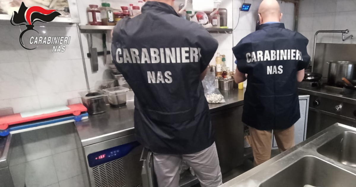 https://www.gazzettadiparma.it/resizer/1200/630/true/2025_09_03/Carabinieri_NAS_Parma_foto_repertorio_sicurezza_alimentare-1756883125302.png--carabinieri_nas_parma__sicurezza_alimentare___sequestrati_47_kg_di_alimenti_irregolari_e_sanzioni_per_8_000_euro.png?1756883125585