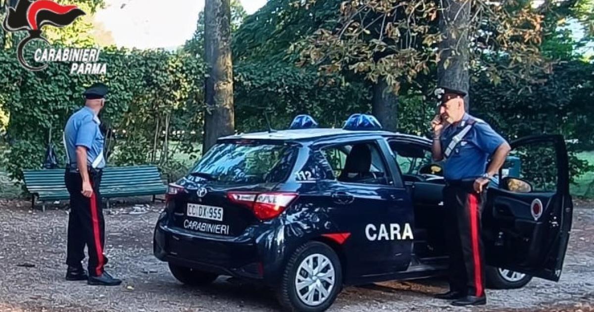 https://www.gazzettadiparma.it/resizer/1200/630/true/2025_09_07/07.09.2025_Parma_foto_controlli_al_parco_ducale-1757228975576.jpg--parma__continuano_i_controlli_al_parco_ducale__denunciato_33enne_straniero_per_porto_abusivo_di_armi_e_oggetti_atti_a_offendere__20enne_italiana_per_resistenza__29enne_straniero_per_resistenza_.jpg?1757228975591