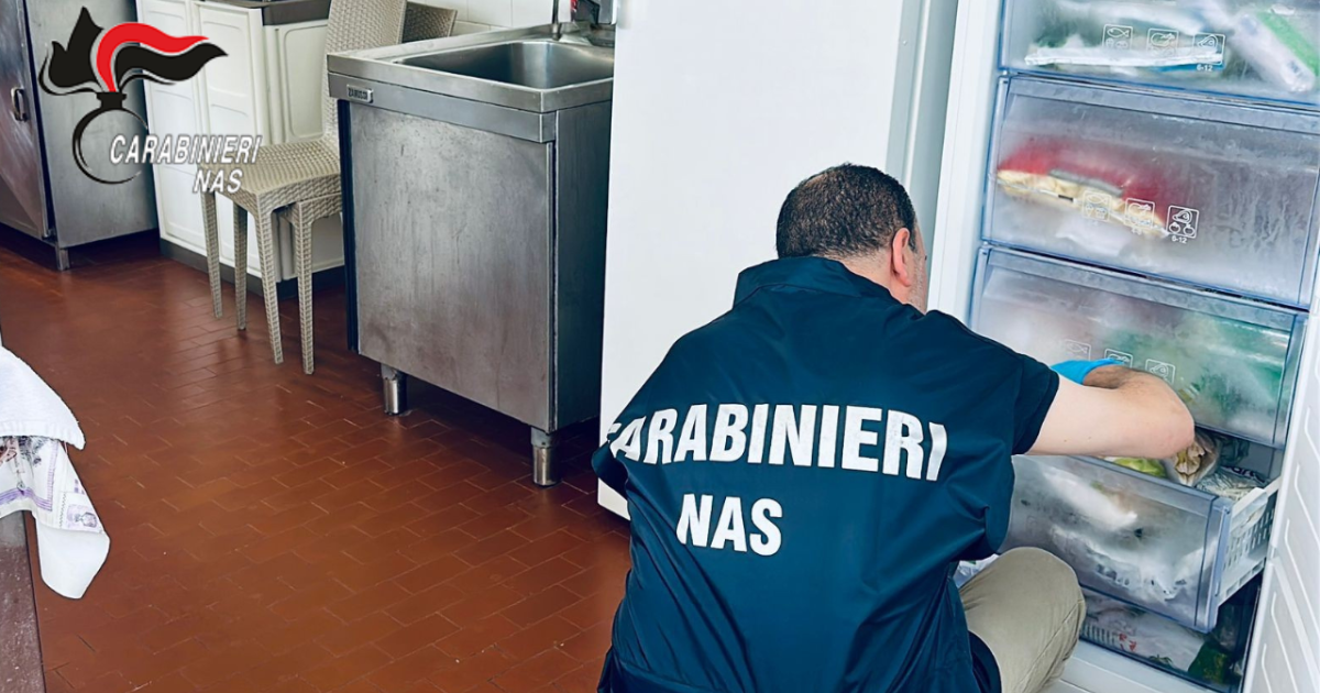 https://www.gazzettadiparma.it/resizer/1200/630/true/2025_09_07/Carabinieri_NAS_Parma_foto_repertorio_strutture_socio-assistenziali-1757229213398.png--verifiche_a_tutela_degli_anziani__irregolarita_in_2_strutture_socioassistenziali.png?1757229213648