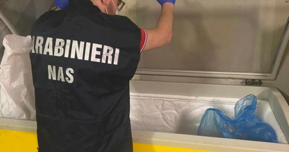 https://www.gazzettadiparma.it/resizer/1200/630/true/2025_09_26/carabinieri_nas_repertorio-1758872722440.jpg--intensificati_i_controlli_sullo_street_food__contestazioni_e_sanzioni_per_oltre_7_500_euro.jpg?1758872722458