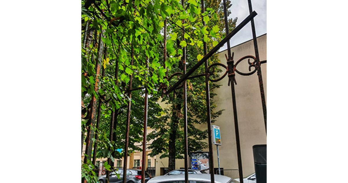 https://www.gazzettadiparma.it/resizer/1200/630/true/2025_09_27/parco_duc_gazzareporter-1758966506238.jpg--vandalismo_al_parco_ducale.jpg?1758966506526