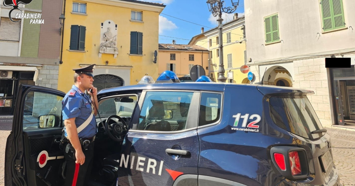 https://www.gazzettadiparma.it/resizer/1200/630/true/2025_10_03/03.10.2025_San_Secondo_foto_x__arresto_resistenza_a_pubblico_ufficiale-1759480985982.png--san_secondo_parmense__aggredisce_l_avventore_di_un_bar_danneggiando_anche_la_sua_bicicletta_parcheggiata_all_esterno_poi_si_scaglia_contro_i_carabinieri_intervenuti__arrestata_40enne_di_origine_strani.png?1759480986132