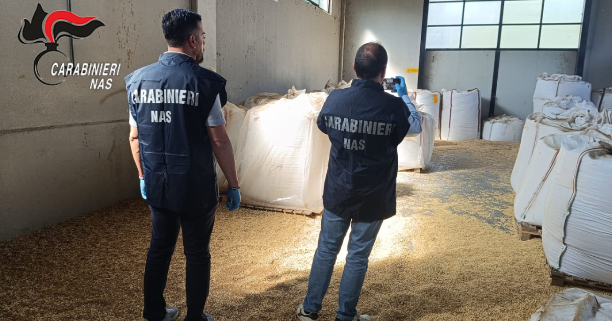 https://www.gazzettadiparma.it/resizer/1200/630/true/2025_10_07/CARABINIERI_NAS_PARMA_sequestro_cereali_e_farine__(3)-1759820948736.png--sequestrati_24mila_chili_di_cereali_e_pasta_in_val_d_enza___attivita_sospesa_per_gravi_carenze_igieniche.png?1759820948881