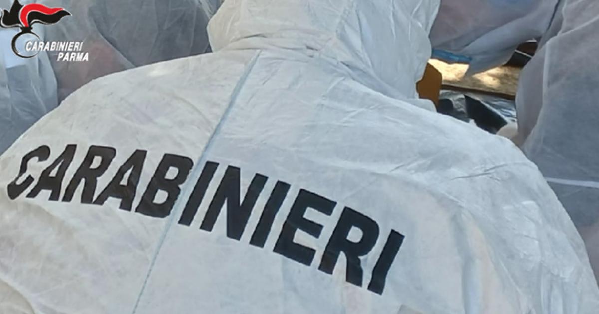 https://www.gazzettadiparma.it/resizer/1200/630/true/2025_10_09/ris-1759997747708.jpg--aveva_svaligiato_un_appartamento_e_si_era_ferito_nel_tentativo_di_smurare_la_cassaforte__33enne_straniero_identificato_grazie_al_dna_denunciato_per_furto_in_abitazione.jpg?1759997747787