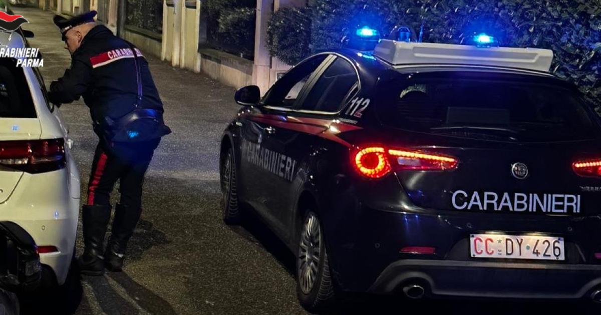 https://www.gazzettadiparma.it/resizer/1200/630/true/2025_10_14/14.10.2025_Parma_foto_di_repertorio-1760431252566.jpg--parma__topo_d_auto_incastrato_dalle_indagini_dei_carabinieri__denunciato_37enne_straniero.jpg?1760431252770