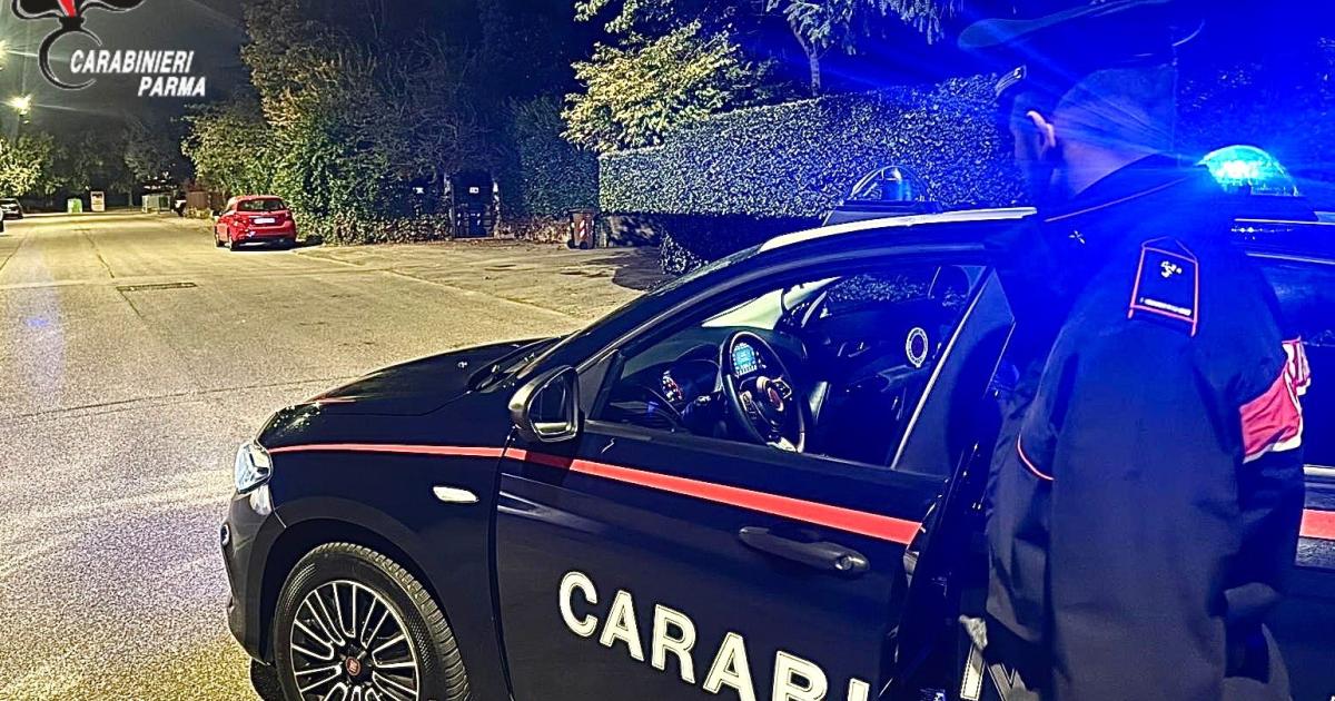 https://www.gazzettadiparma.it/resizer/1200/630/true/2025_10_19/thumbnail_19.10.2025_Parma_foto_x_arresto_reingresso_illegale_in_Italia_e__denuncia_x_possesso_arnesi_scasso-1760859202656.jpg--parma__sorpresi_con_attrezzi_da_scasso_in_un_area_residenziale_della_citta___uno_dei_due_esibisce_documenti_falsi__arrestato_20enne_straniero__espulso_nel_2024_e_rientrato_irregolarmente_in_italia_e_d.jpg?1760859202691