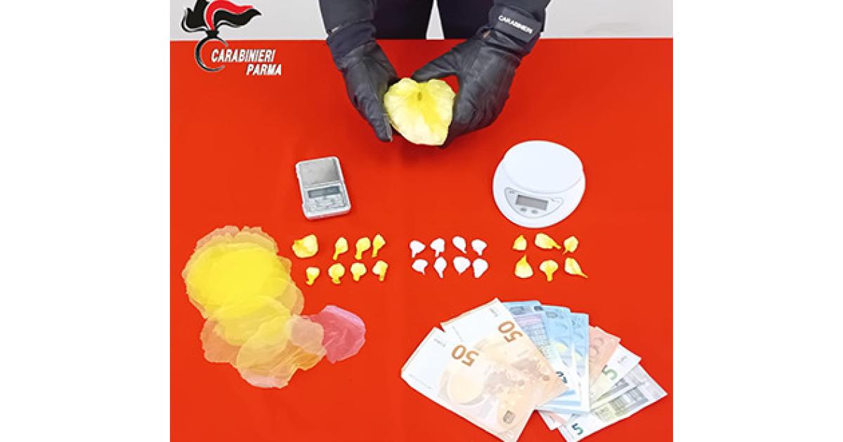 https://www.gazzettadiparma.it/resizer/1200/630/true/2025_10_20/carabinieri-1760950028395.jpg--parma__lo_fermano_a_spasso_per_la_citta_con_6_dosi_di_cocaina_nascoste_nel_giubbotto__dalla_successiva_perquisizione_del_domicilio_spuntano_altri_106_grammi_e_materiale_per_la_pesatura_e_il_confeziona.jpg?1760950028579