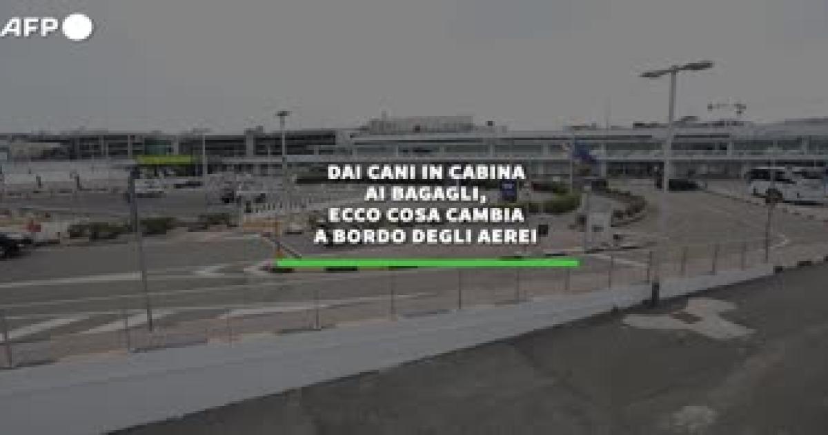 https://www.gazzettadiparma.it/resizer/1200/630/true/ansa/2025_09_21/i202509210935_365x180.jpg--.jpg