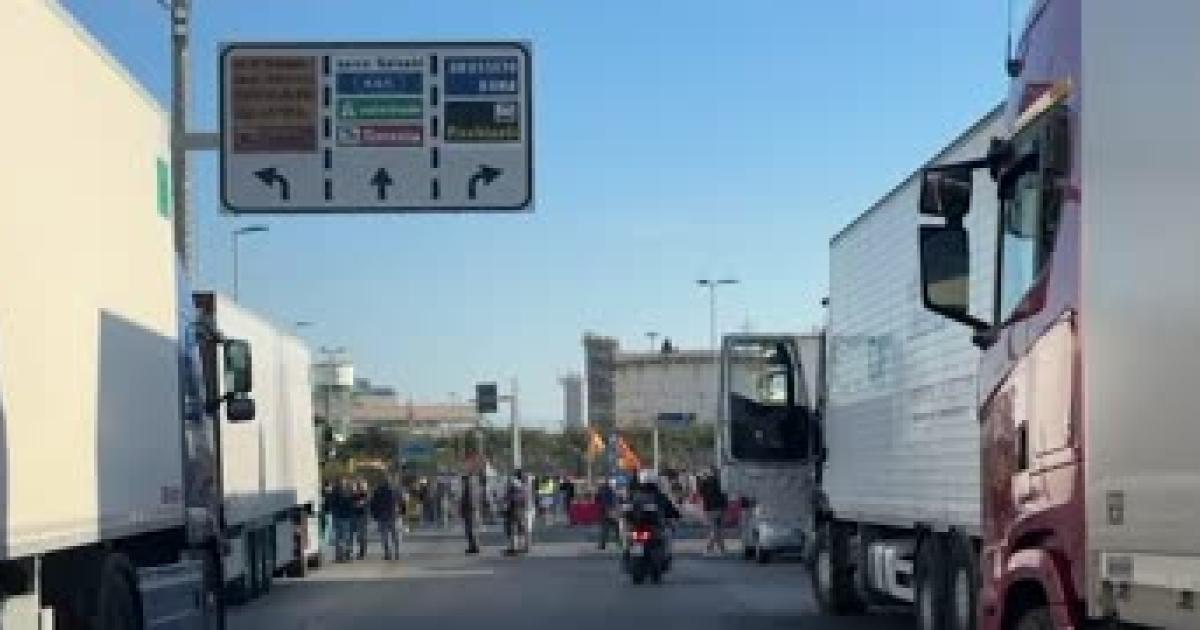 https://www.gazzettadiparma.it/resizer/1200/630/true/ansa/2025_10_03/i202510031035_365x180.jpg--.jpg