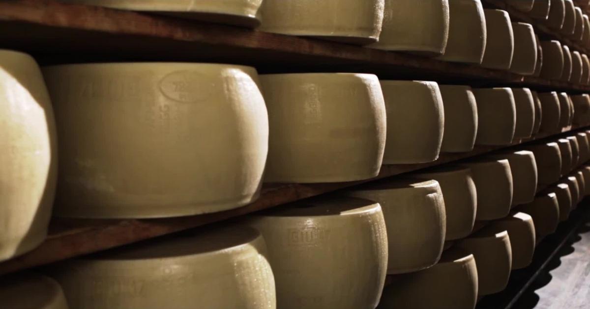 https://www.gazzettadiparma.it/resizer/1200/630/true/gn4/3754/GN4_DAT_3754711.jpg--parmigiano__contributo_caseifici_sale_a_9_euro_a_forma_nel_2026.jpg