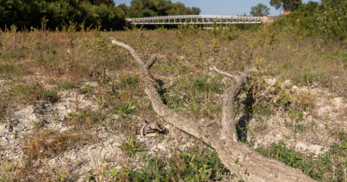 https://www.gazzettadiparma.it/resizer/1200/630/true/gn4/48137/GN4_DAT_48137270.jpg--il_comitato_alluvionati___il_baganza_va_pulito__abbiamo_paura_ogni_volta_che_piove_.jpg
