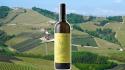 Josetta Saffirio Langhe Rossese Bianco Doc '22: grande personalità per un vino fresco, longevo e sincero