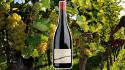 Cantina Andriano Tor di Lupo Lagrein Riserva 2022 - Naso voluttuoso di frutti rossi e neri, dal sorso vellutato