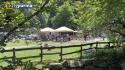 Ferragosto, pienone di visitatori sull'appennino parmense