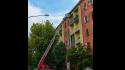 Ancora nidi da bonificare per i vigili del fuoco: questa mattina intervento in via Buffolara - Video: lo specialista: come difendersi