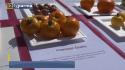 Festival del pomodoro, stamattina in piazza la mostra della biodiversità 