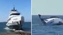 Yacht di lusso lungo oltre 25 metri è affondato appena 15 minuti dopo la sua prima uscita in mare.