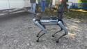 Salone del camper cane robot