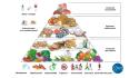 Una nuova piramide