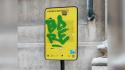 Vandalismo cartello informativo chiesa di San Rocco