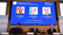 Il Nobel per la Chimica va a Kanegawa, Robson e Yaghi (ricerca nuovi materiali)