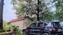 Solignano, 64enne precipita mentre taglia un albero e muore sul colpo