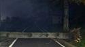 Albero caduto su strada a Busseto