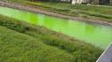 L'acqua della Parma è diventa verde fluo (al ponte delle Nazioni) - Le foto