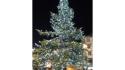 Acceso albero Natale e luminarie