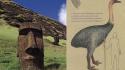 Due storie pasquali: la scoperta di Rapa Nui e l&rsquo;uovo gigante