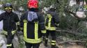 Sala Baganza, il forte vento abbatte un albero in via Olmo: vigili del fuoco in azione. Segnalazioni anche in città
