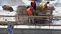 Sos caldo, anche in Emilia Romagna arriva l'ordinanza: cantieri, logistica e agricoltura stop al lavoro dalle 12,30 alle 16