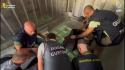 Sequestrati 288 chili di cocaina nel porto di Gioia Tauro