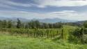 +++ DOPPIONE +++ Viticoltura eroica, vigneti a 800 metri di quota sull'Appennino umbro