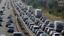 Gattino bloccato in autostrada da 5 giorni a Rimini, salvato