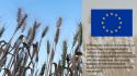 L'Ue verso la semplificazione delle norme di sicurezza alimentare