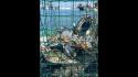 Granchio Blu, rimborsi a pescatori e monitoraggio della specie