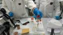 Ragazza morta 30 anni fa, ok a prelievo Dna sull'ex fidanzato