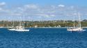 Flotilla, 'attacco all'Italia, governo intervenga'
