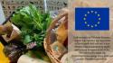Surplus agroalimentare Ue a 3,8 miliardi a giugno, sotto al 2024