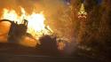 Macchinario prende fuoco, rogo nella pineta di Castel Fusano