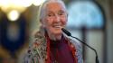 Morta a 91 anni la celebre etologa Jane Goodall
