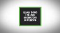 Quali sono i flussi migratori in Europa