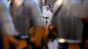 Il Papa 'su pace passi significativi, auspico risultati'