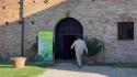 L'agricoltura biologica vince le sfide del mercato