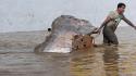 Piogge torrenziali in Messico, almeno 28 morti in vari Stati