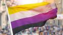 Sabato a Roma 'il primo Non-binary Pride in Italia'