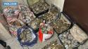 Avevano 220 chili di hashish, arrestati in due